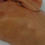 Hauhalan hanhifarmi - Vaalea hanhenmaksa
